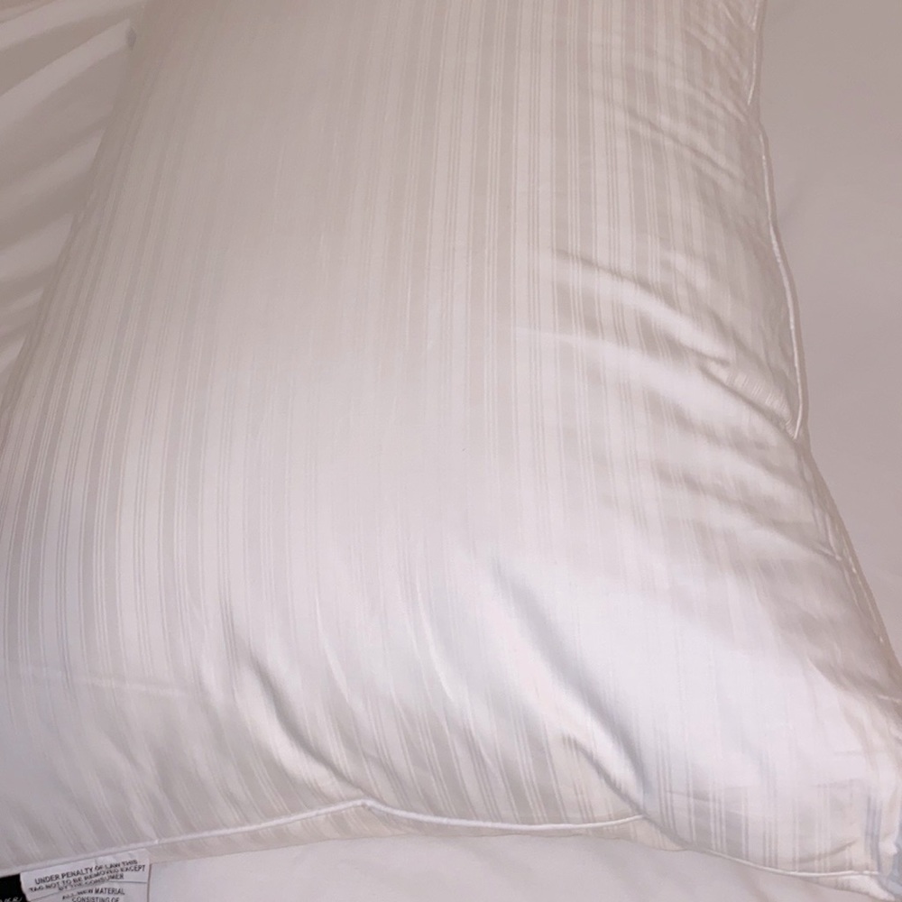 Downluxe Goose Feather Down Pillow 20" x 28" Queen - Picture 9 of 12